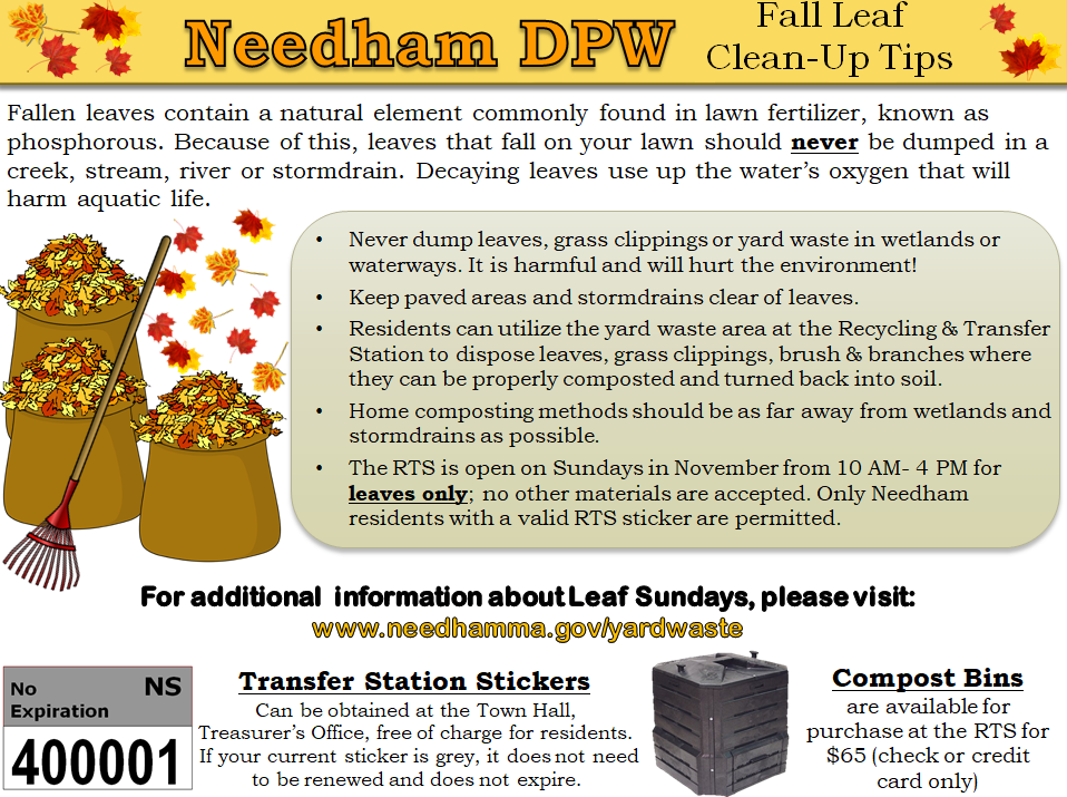 Fall Leaf Clean-Up Tips Opens in new window